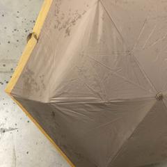 Paraply, som rapportert av IKEA立川 ved bruk av iLost