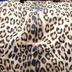 Taška, ako bolo nahlásené Connexxion Amstelland-Meerlanden Schiphol Noord pomocou iLost