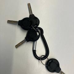 열쇠 Zwarte sleutels, iLost를 사용하여 Gemeente Rijswijk에 보고됨