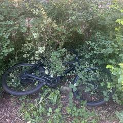 Elektrische fiets veloretti, segons s'ha informat a iLost