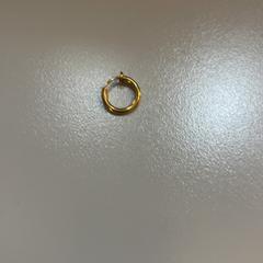 Ohrring, gemeldet von Padualaan 101 über iLost