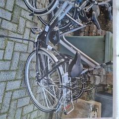 Women’s bike, as reported by Gemeente Roermond using iLost