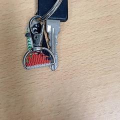 Sleutel، كما تم الإبلاغ عنه بواسطة Qbuzz GD Groningen HS عبر iLost