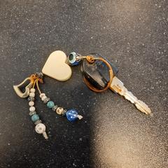 Sleutels, zgłoszono przez Blauwnet Zwolle przy użyciu iLost