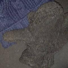 Beanie met handschoenen, ako bolo nahlásené TivoliVredenburg pomocou iLost