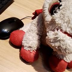Knuffel, as reported by Beekse Bergen Resorts en Hotel using iLost