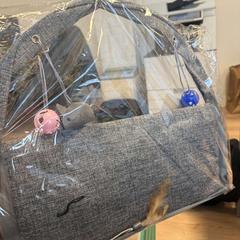 Taška cat play mat, ako bolo nahlásené Regio Oost-Vlaanderen pomocou iLost