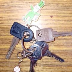 Kľúč, ako bolo nahlásené Regio Antwerpen - Brussel pomocou iLost