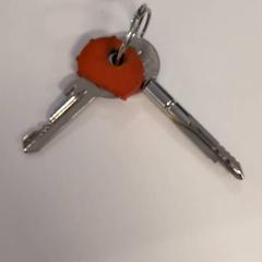 Sleutels, zoals gemeld door IKEA Amsterdam met iLost