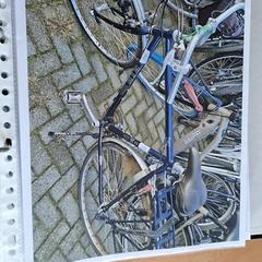Bicicleta masculina, segundo informou Gemeente Roermond usando iLost