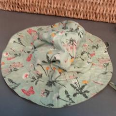 Mutsje, segundo informou Diergaarde Blijdorp usando iLost