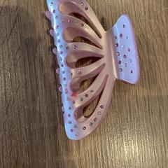 Haarklip, ha sido reportado por Van der Valk Hotel Apeldoorn - De Cantharel con iLost