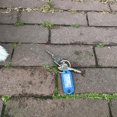 Set met twee sleutels en blauwe tag, as reported to iLost