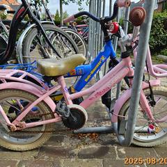 Haurrentzako bizikleta Cooper rose, gisa salatu by Gemeente Heemstede iLost erabiliz