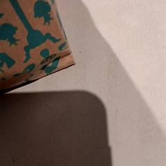 Souvenier, rapporterat av De Efteling med iLost