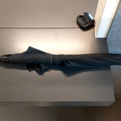 Paraplu, zoals gemeld door Regio Limburg - Leuven met iLost