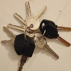 Bos sleutels, segundo informou a iLost