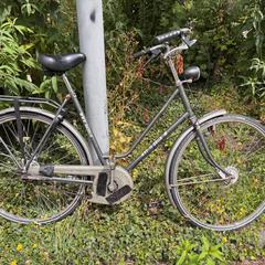 Gazelle fiets dames, som rapporterats till iLost