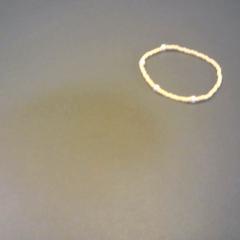 Bransoletka, zgłoszono przez SnowWorld Landgraaf przy użyciu iLost