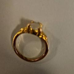 Ringa, rapporterat av Vrije Universiteit Amsterdam med iLost