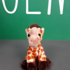 İLost kullanarak Diergaarde Blijdorp tarafından bildirildiği gibi Knuffel giraffe
