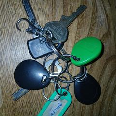 Een sleutel bos, segons s'ha informat a iLost