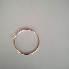 Arracada, segons ha informat Twisto mitjançant iLost