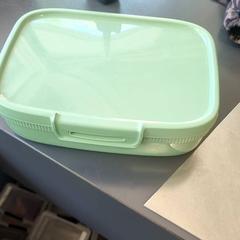 Bazkari-kutxa Groen, gisa salatu by Burgers' Zoo iLost erabiliz