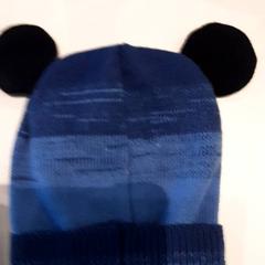 Muts, zoals gemeld door LUMC met iLost