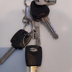 Sleutelbos, come riportato da Arriva Limburg Zuid utilizzando iLost