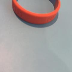 Bracelet, as reported by De Tovertuin using iLost