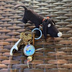 Keys with dog charm, blue charm and bottle opener, as reported to iLost