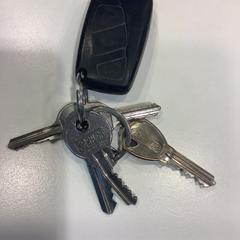 Sleutelbos, som rapportert av Gemeente Amsterdam ved bruk av iLost