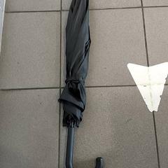 Parasol Zwart, zgłoszono przez Regio Oost-Vlaanderen przy użyciu iLost