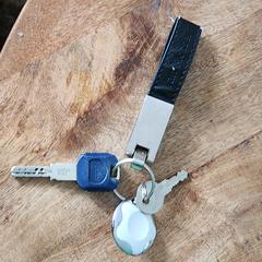 Sleutelbos, come riportato a iLost