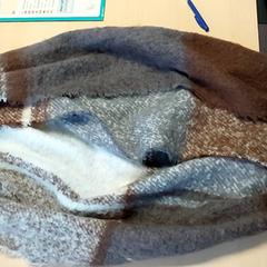 Kleidung Sjaal, gemeldet von Regio Limburg - Leuven über iLost