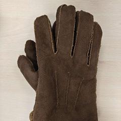 İLost kullanarak Centraal magazijn tarafından bildirildiği gibi Eldivenler bruin