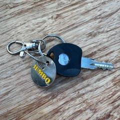 Klíč kwarte sleutel met Jumbo punt, jak nahlášeno Gemeente Zeist pomocí iLost