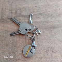 Sleutelbos, as reported to iLost