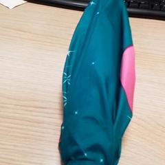 우산 Groen, iLost를 사용하여 Qbuzz Fryslân에 보고됨