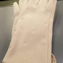 Handschuhe Beige, gemeldet von Qbuzz GD Groningen HS über iLost