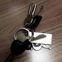 키체인 Metaal met zwart, iLost를 사용하여 Arriva West-Brabant에 보고됨