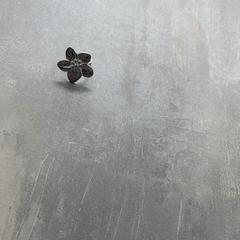 İLost kullanarak Arriva Achterhoek-Rivierenland tarafından bildirildiği gibi Yüzük