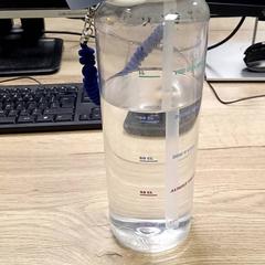 Copa Drink fles, segons ha informat Van der Valk Hotel Sneek mitjançant iLost