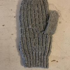 벙어리 장갑, iLost를 사용하여 Artis에 보고됨