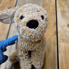 Joguina & Peluix, segons ha informat IKEA Delft mitjançant iLost