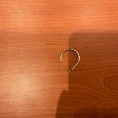 Boucle d'oreille Enkel Goud, a été signalé par Hotel Theater FIGI utilisant iLost
