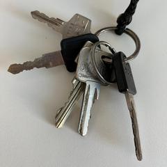 Porte-clés, a été signalé par Gemeente Noordwijk utilisant iLost