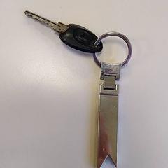 İLost kullanarak Vrije Universiteit Amsterdam tarafından bildirildiği gibi Anahtar