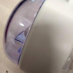 Gourde, segons ha informat IKEA Clermont Ferrand mitjançant iLost